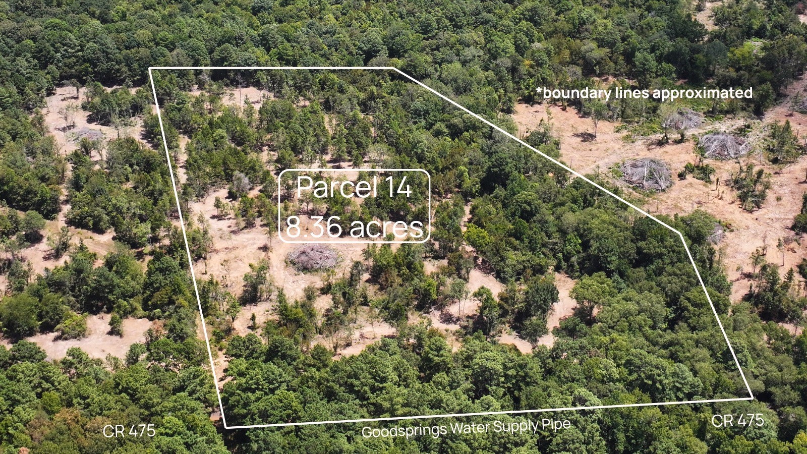Tbd #14 County Road 475a Property Photo 1