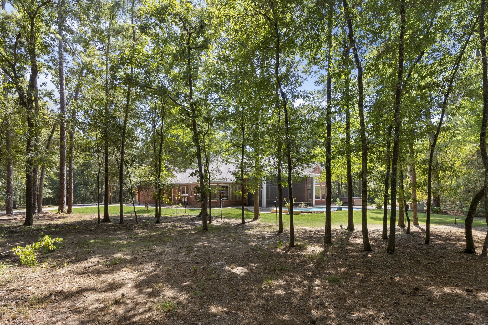 10857 Lake Forest Drive Property Photo 47