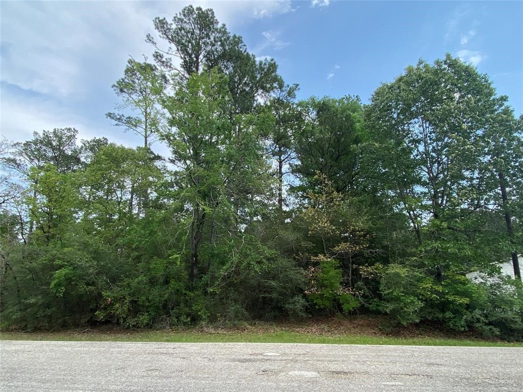 51 Wood Harbor Property Photo 6