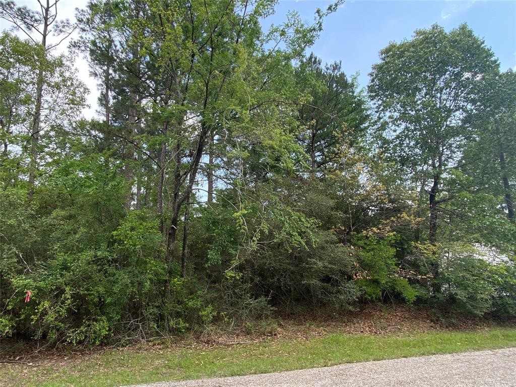 51 Wood Harbor Property Photo 7