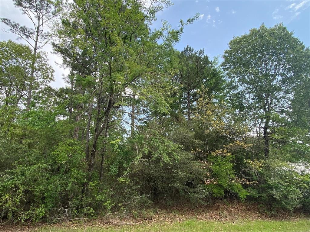 51 Wood Harbor Property Photo 8
