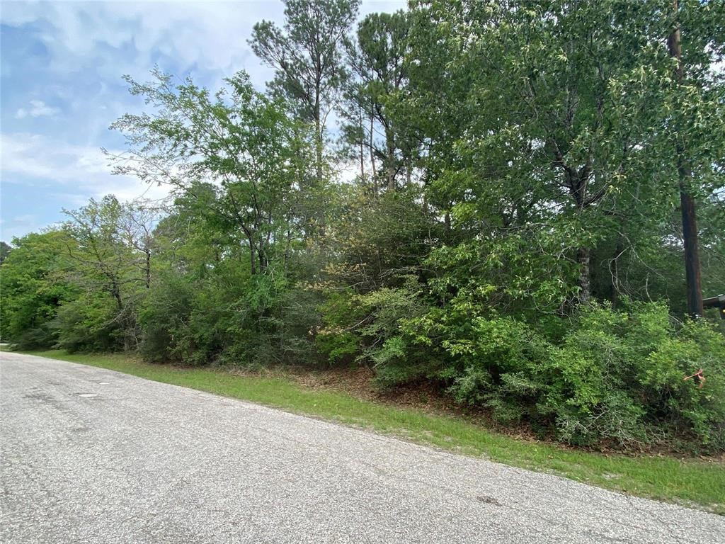 51 Wood Harbor Property Photo 9