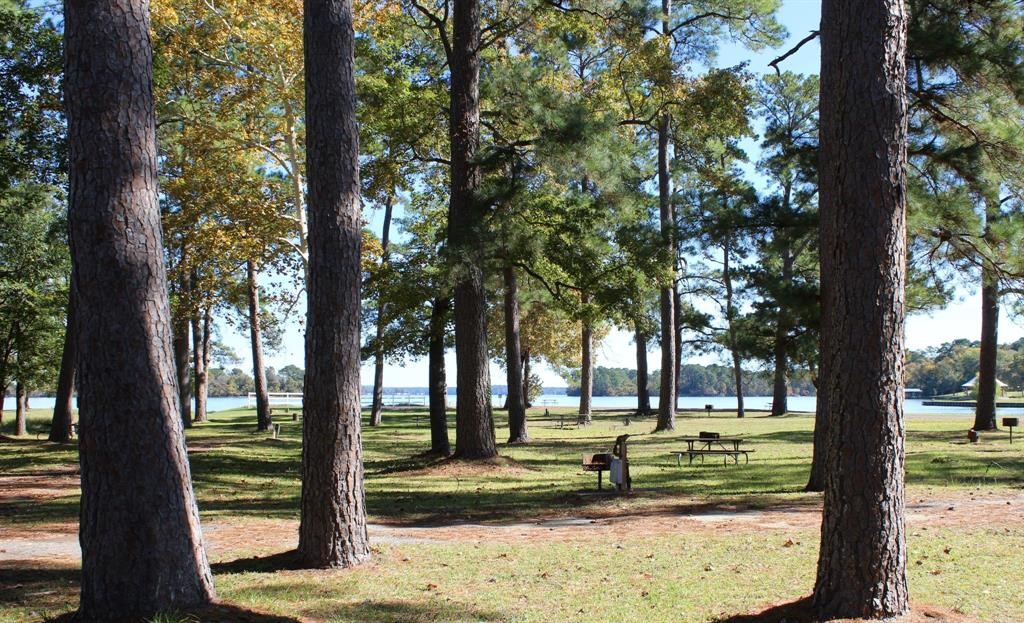 51 Wood Harbor Property Photo 10