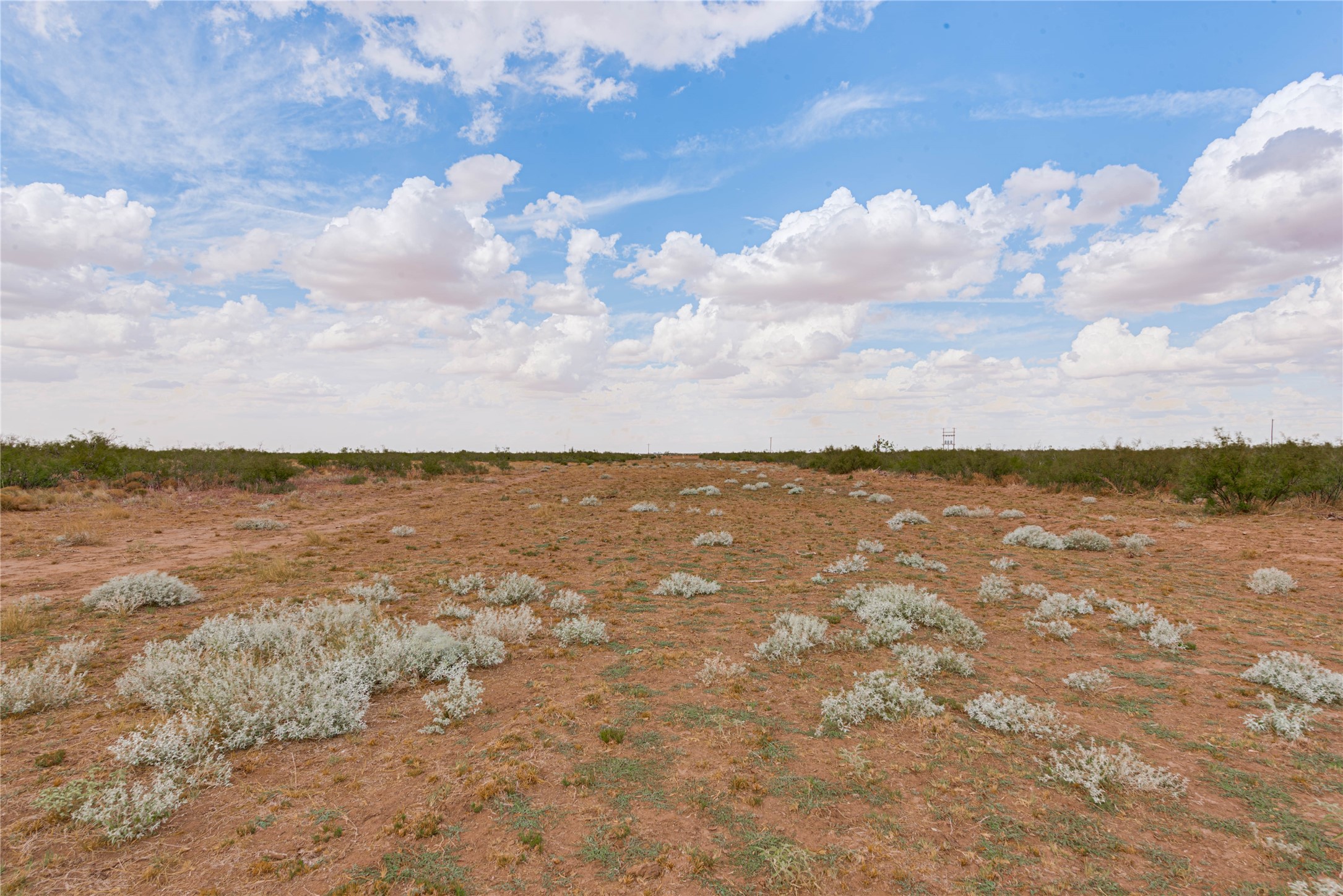 Tbd 90ac Fm-1379 Property Photo 31