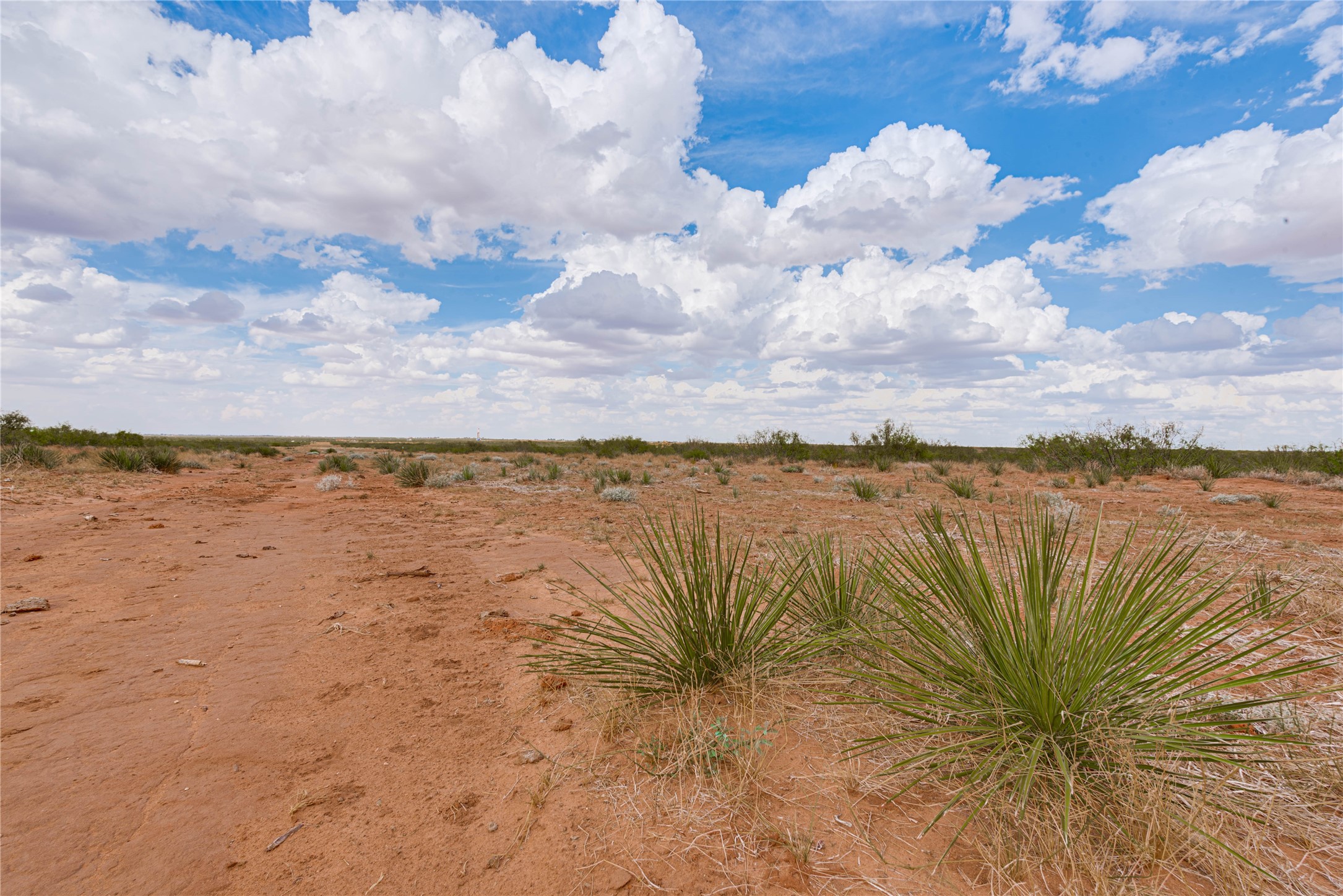 Tbd 90ac Fm-1379 Property Photo 33