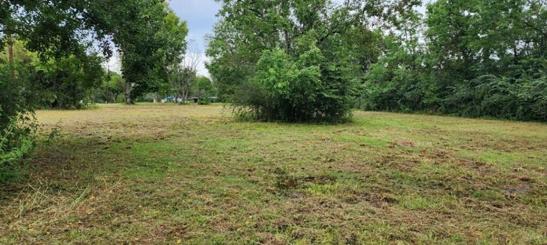 419 Marshall Ivy Road Property Photo 3