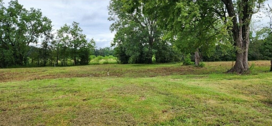 419 Marshall Ivy Road Property Photo 5