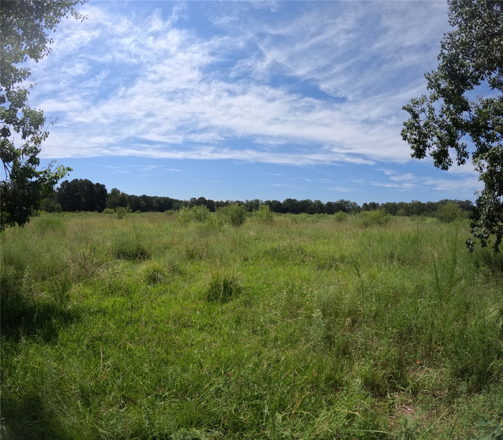 419 Marshall Ivy Road Property Photo 13