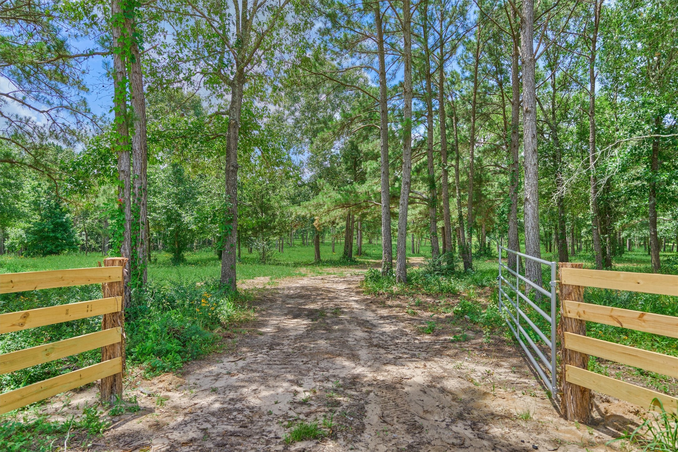 Tract A Bailey Grove Road Property Photo 1