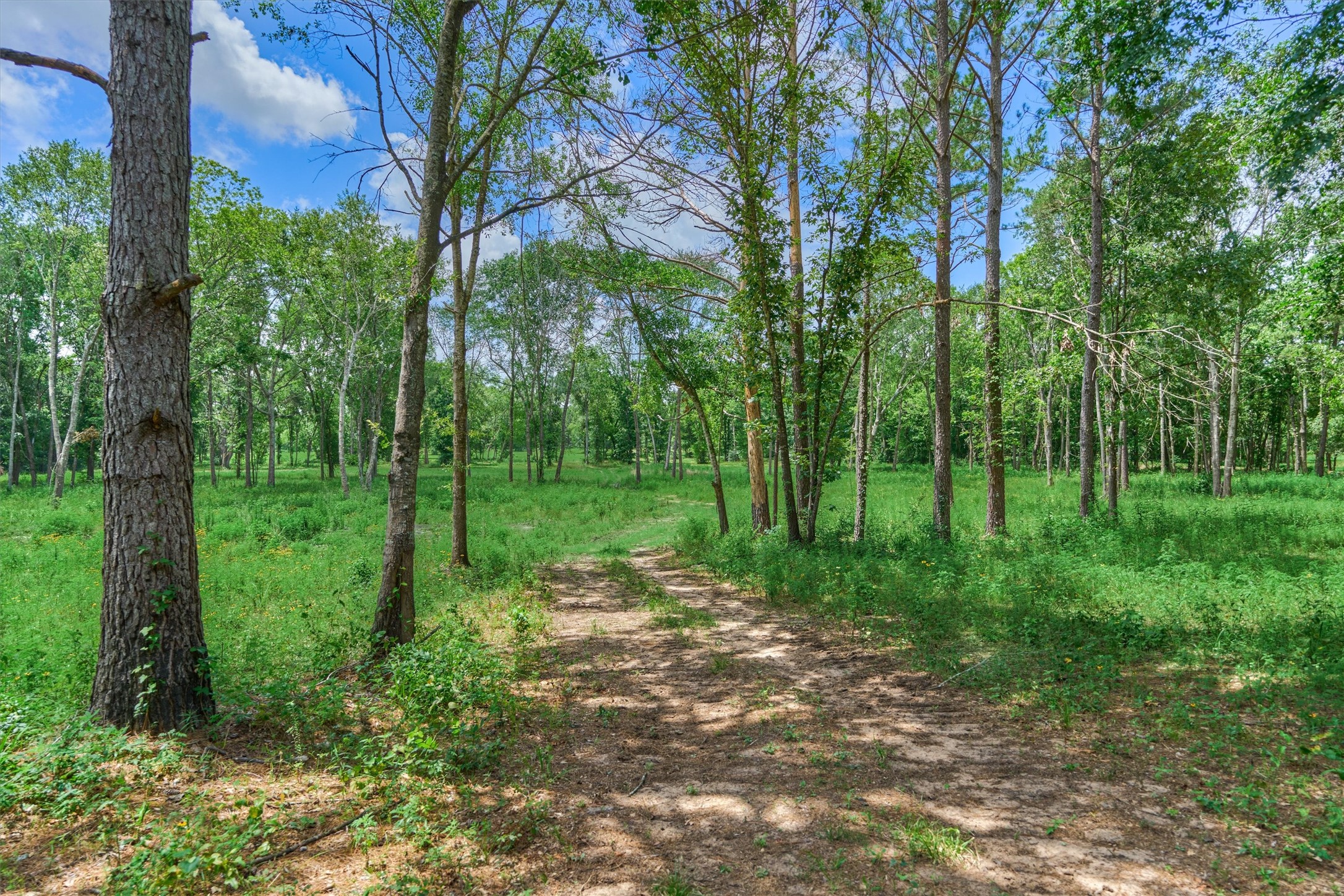 Tract A Bailey Grove Road Property Photo 3