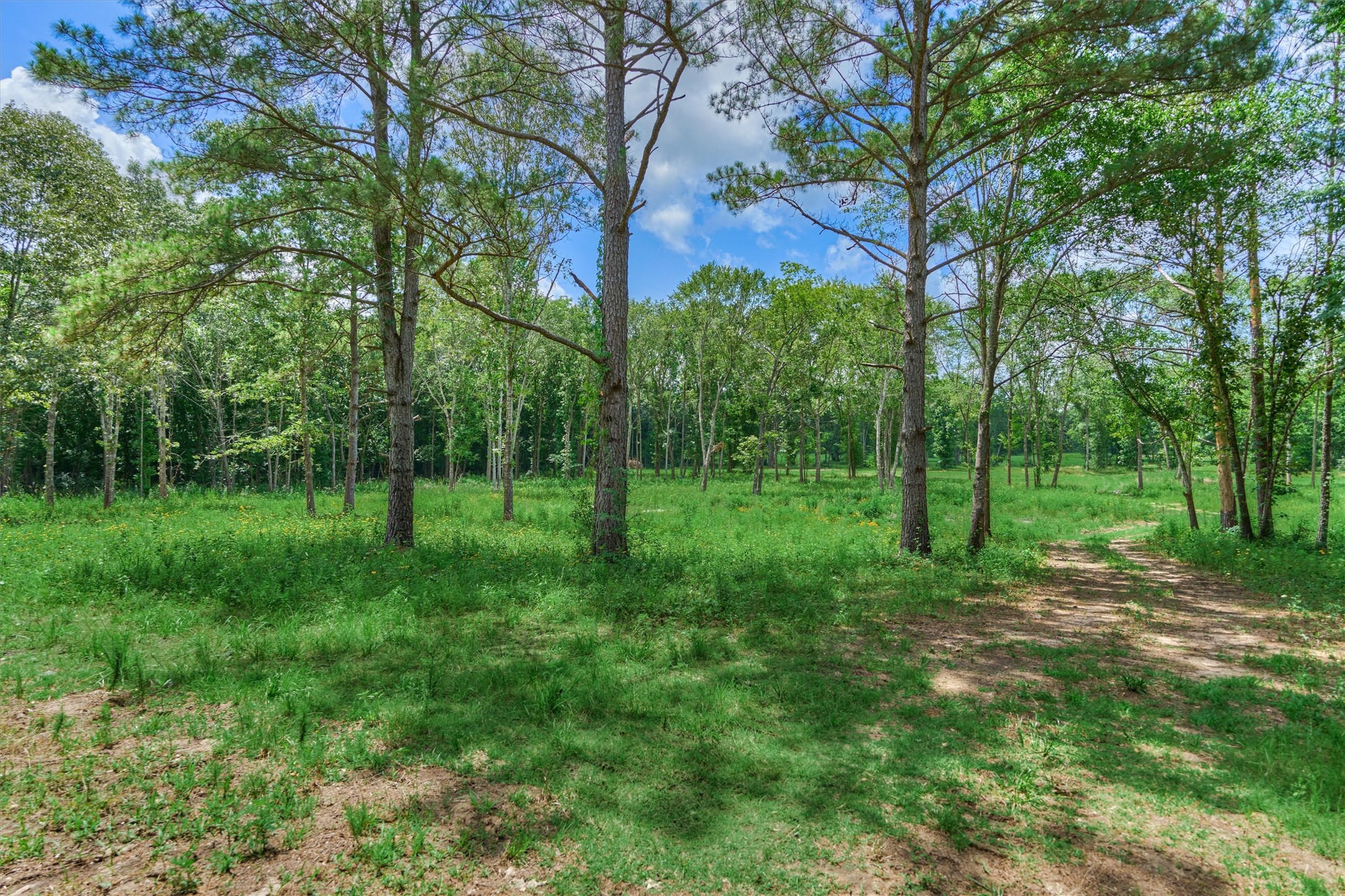 Tract A Bailey Grove Road Property Photo 4