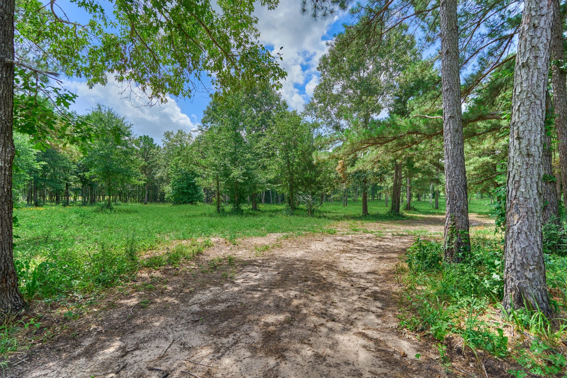Tract A Bailey Grove Road Property Photo 5
