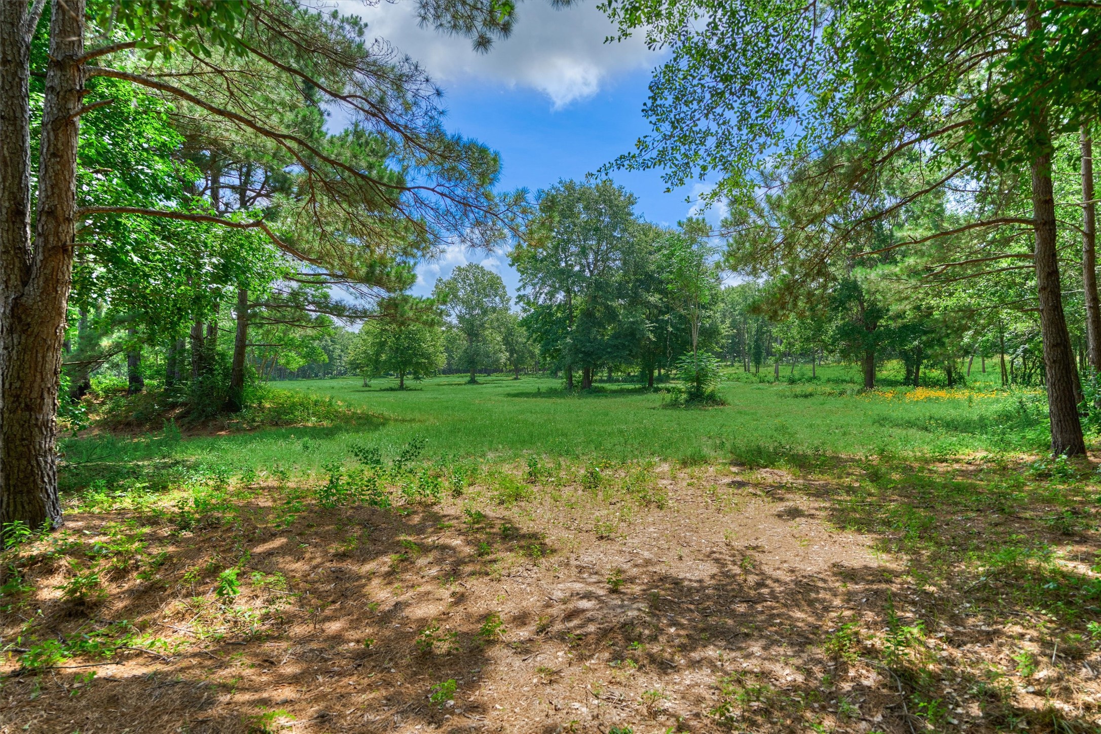 Tract A Bailey Grove Road Property Photo 6