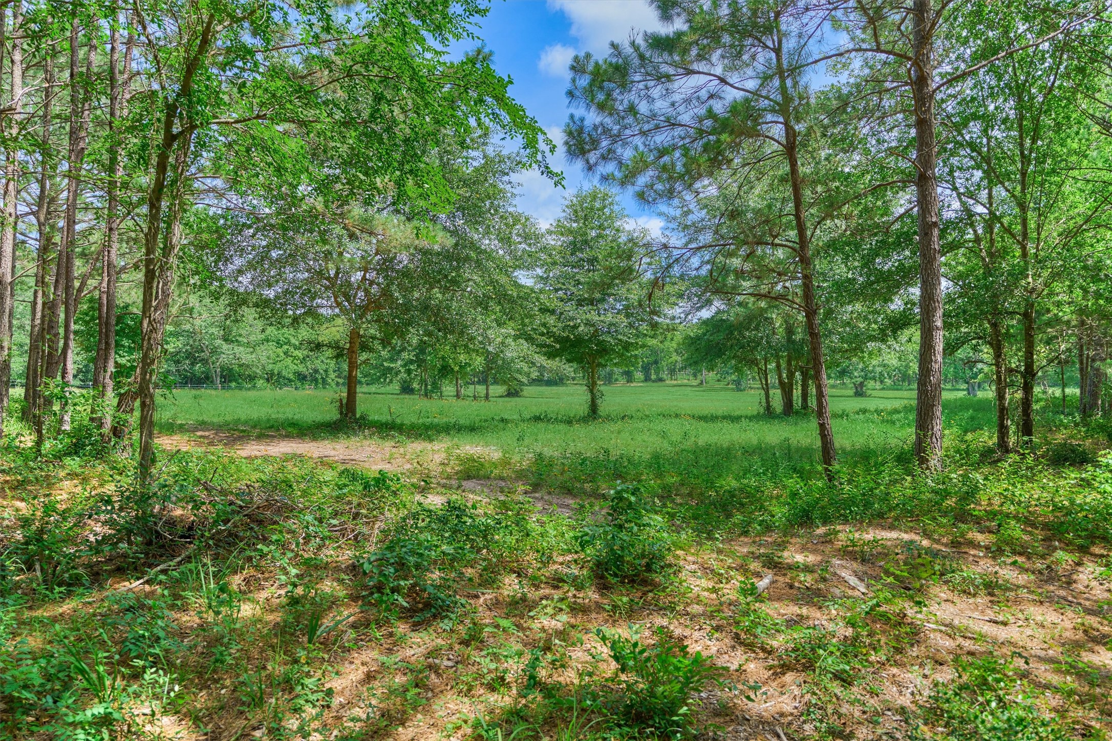 Tract A Bailey Grove Road Property Photo 7