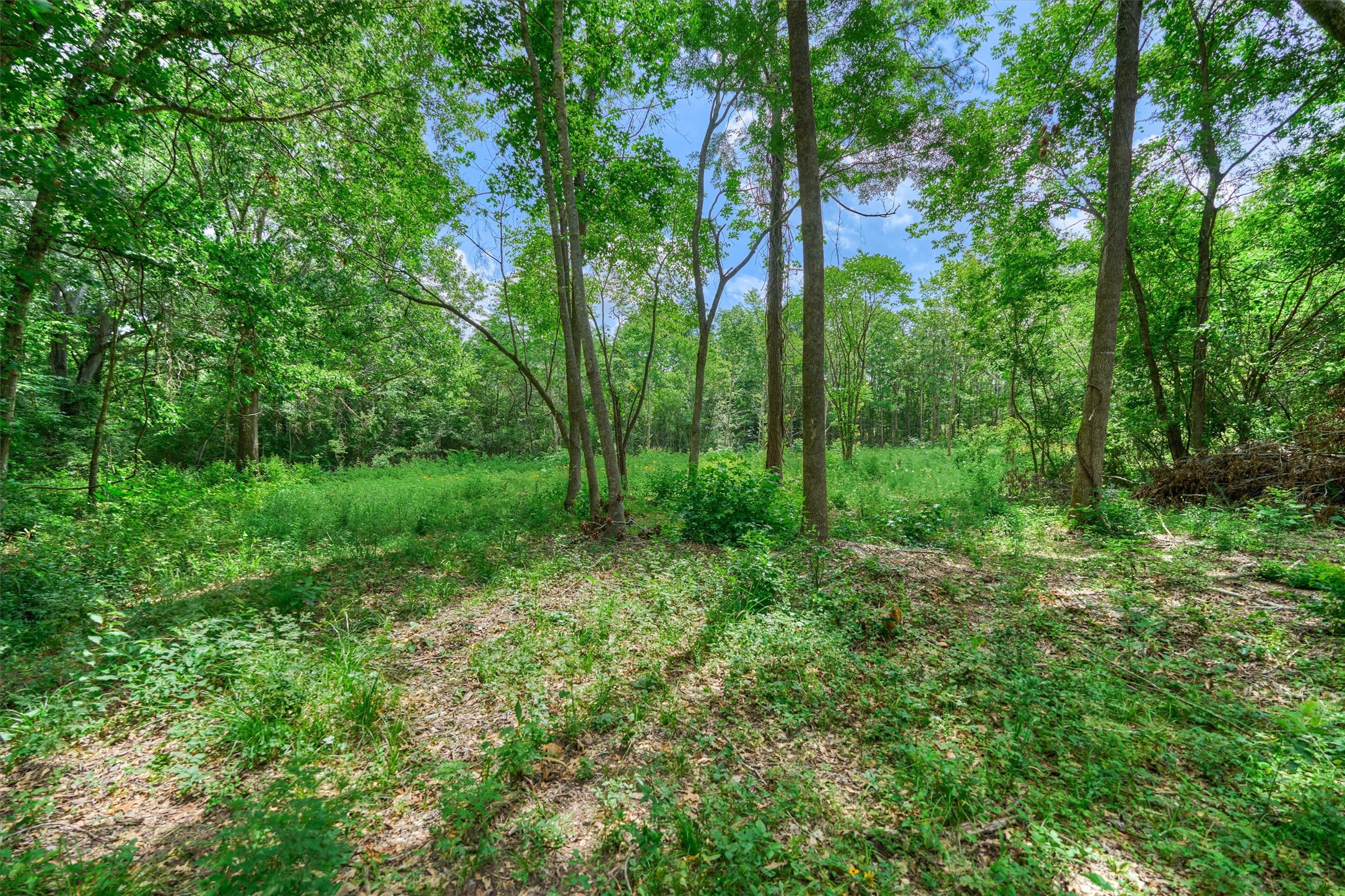Tract A Bailey Grove Road Property Photo 8