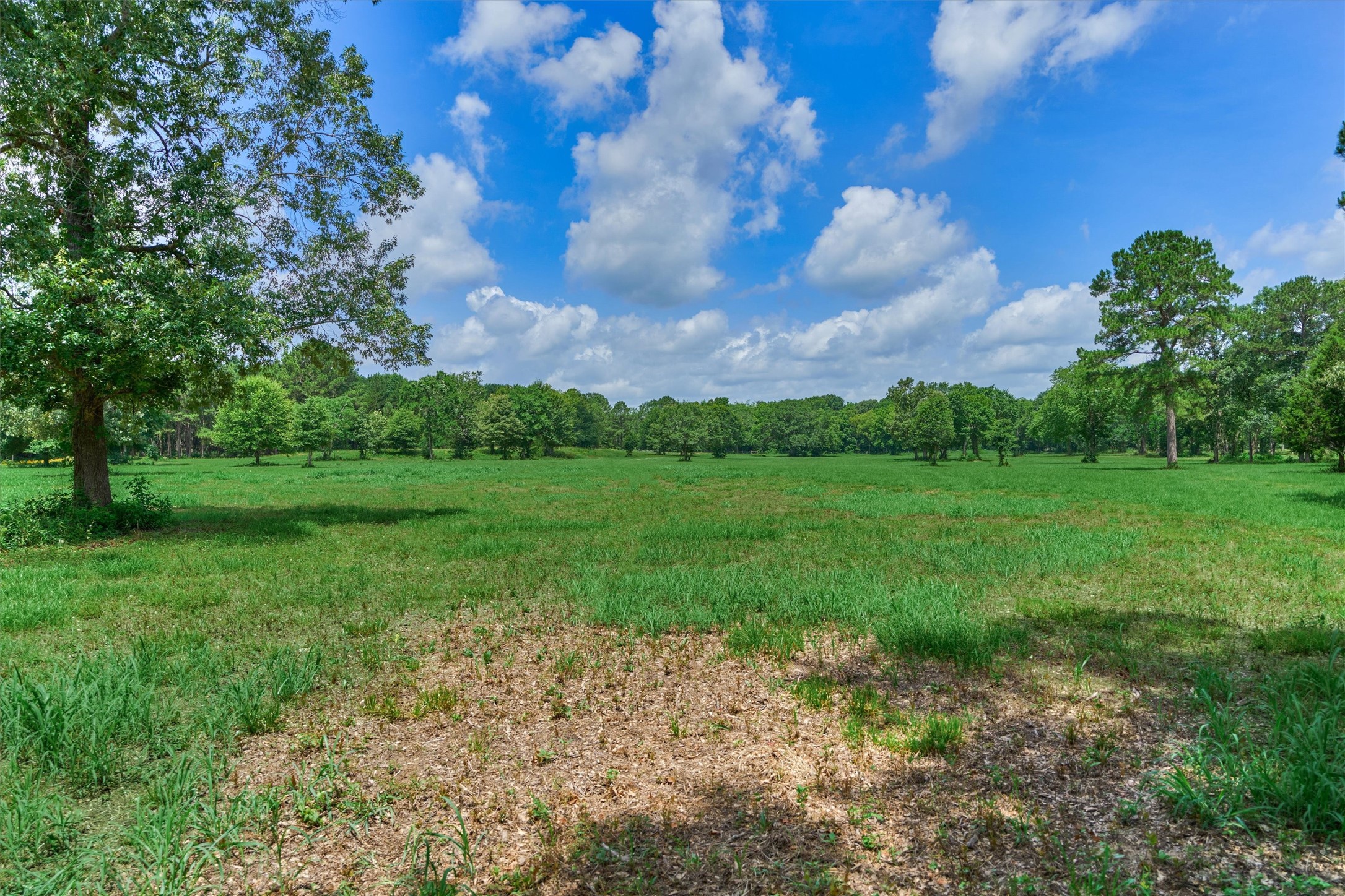Tract A Bailey Grove Road Property Photo 9