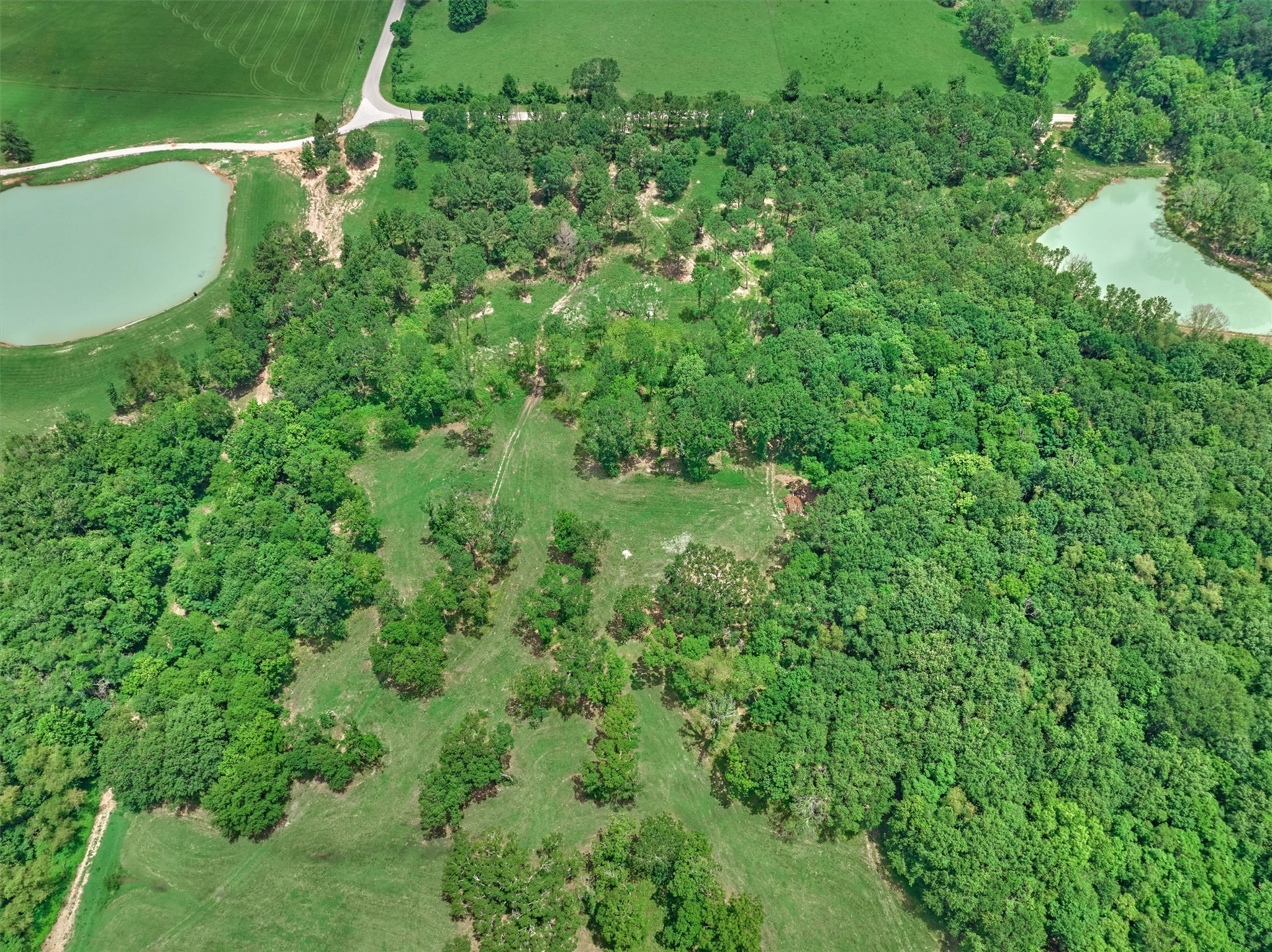 Tract A Bailey Grove Road Property Photo 10