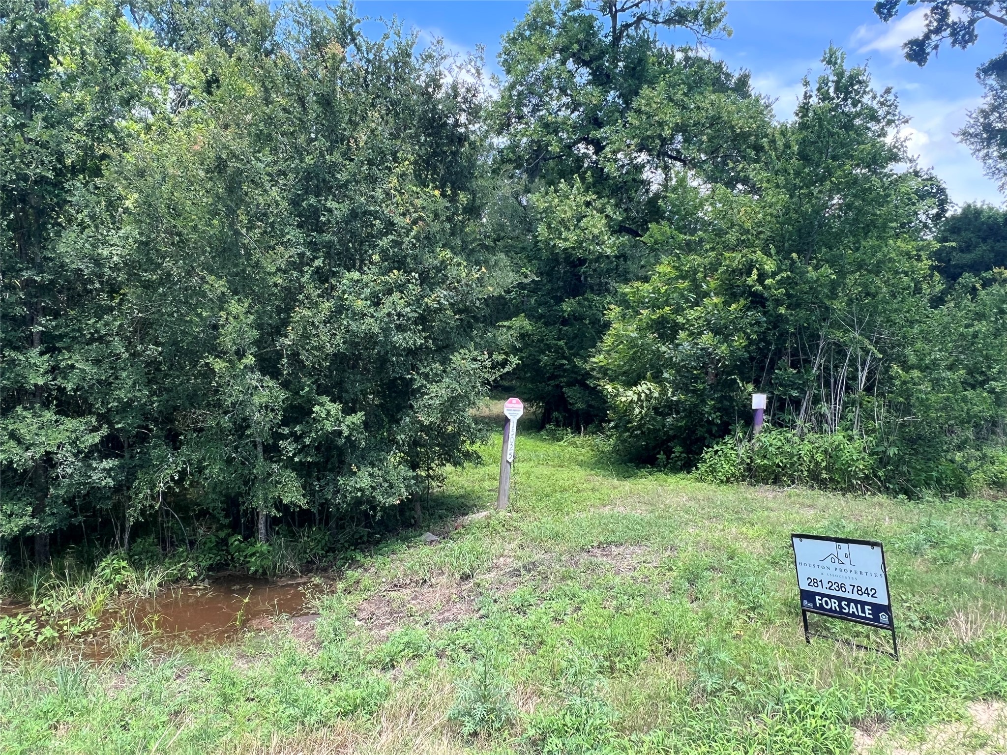 15025 Laguna Trail Property Photo 3