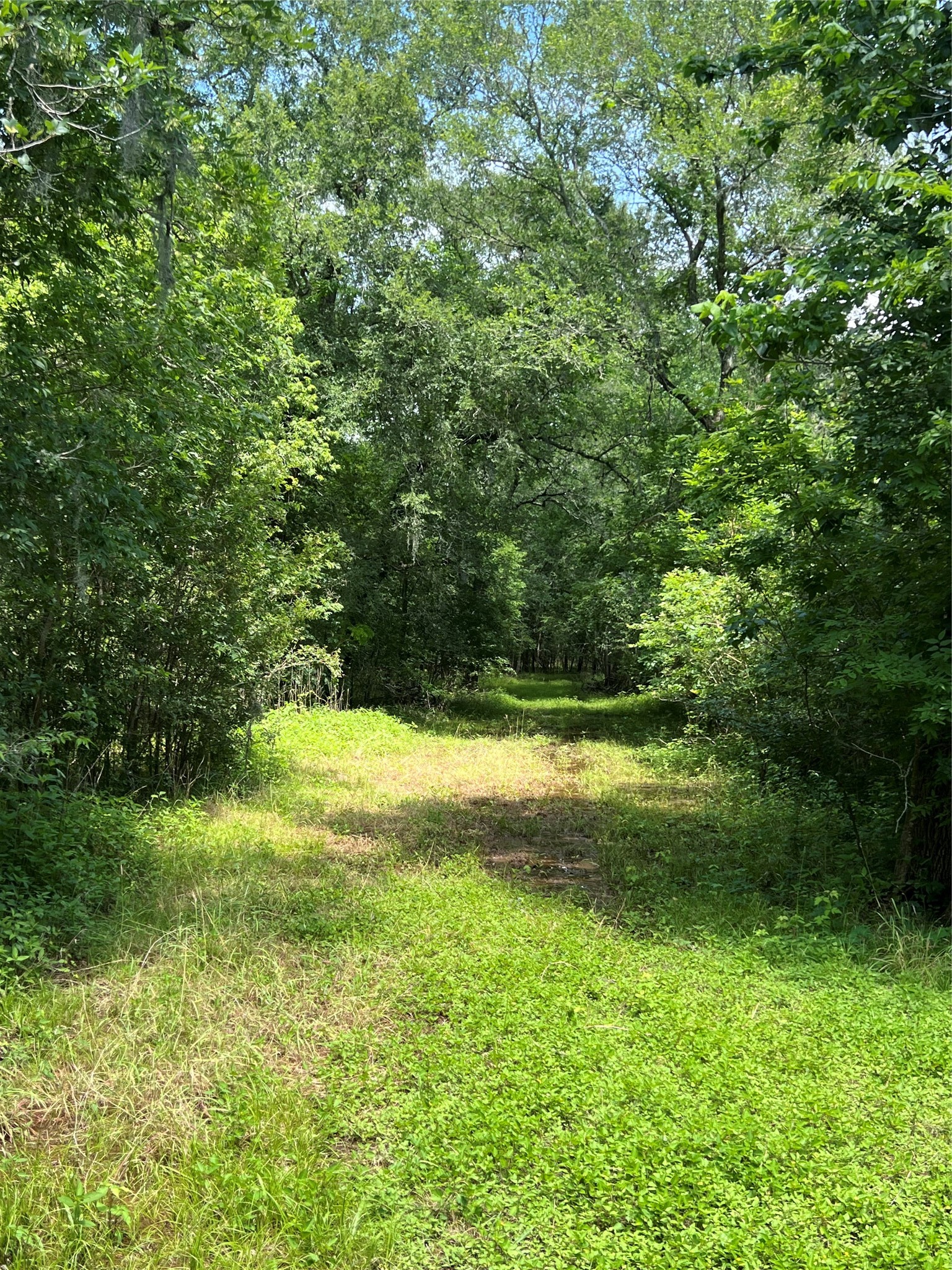 15025 Laguna Trail Property Photo 6