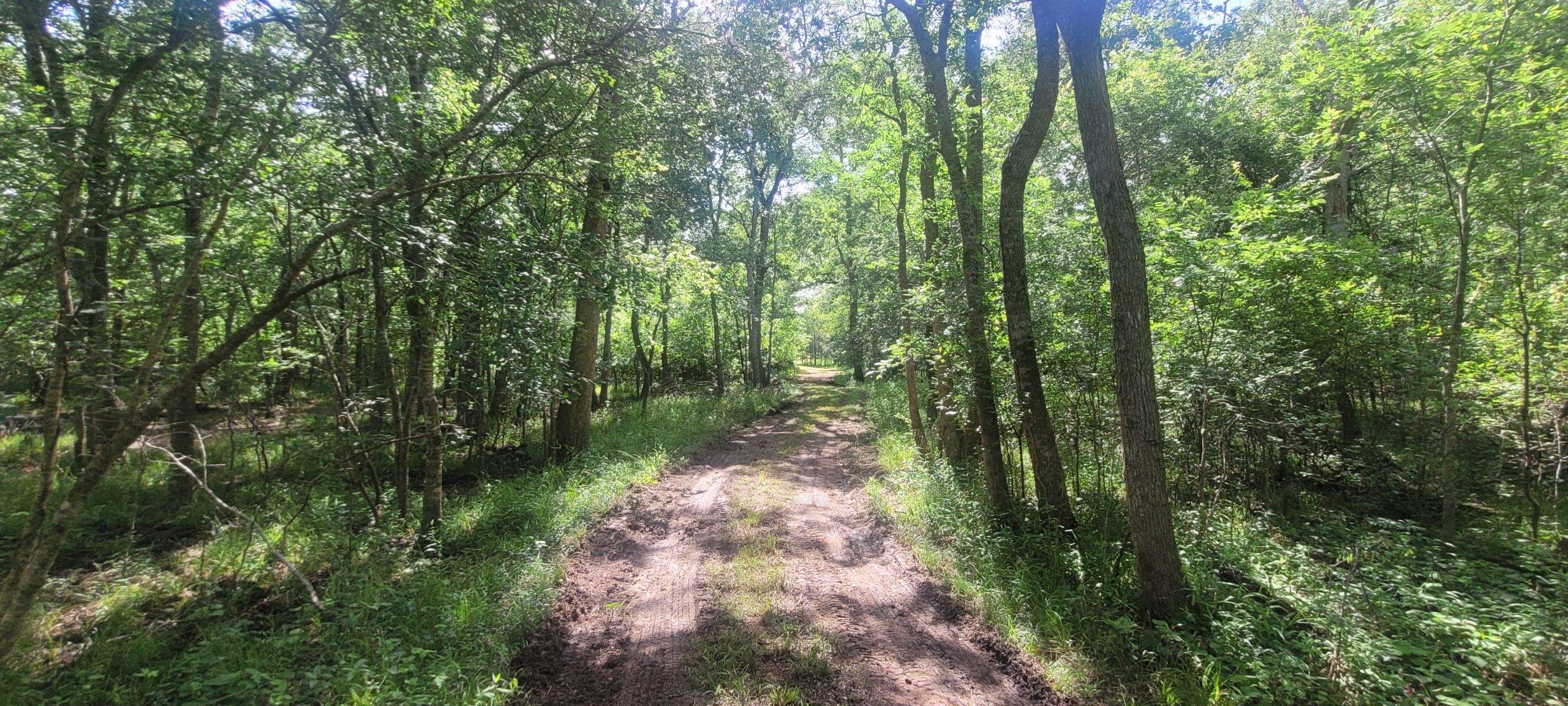 15025 Laguna Trail Property Photo 12