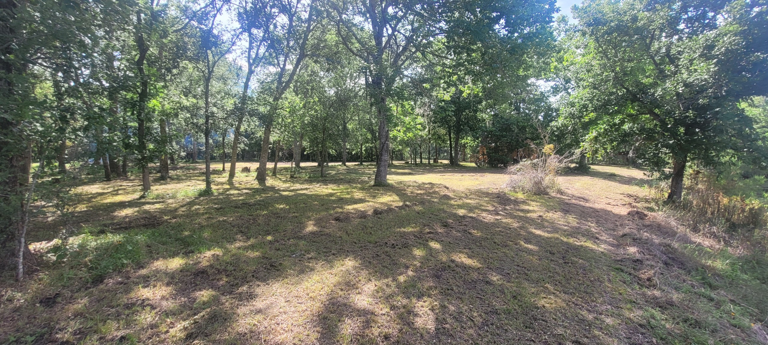 15025 Laguna Trail Property Photo 16