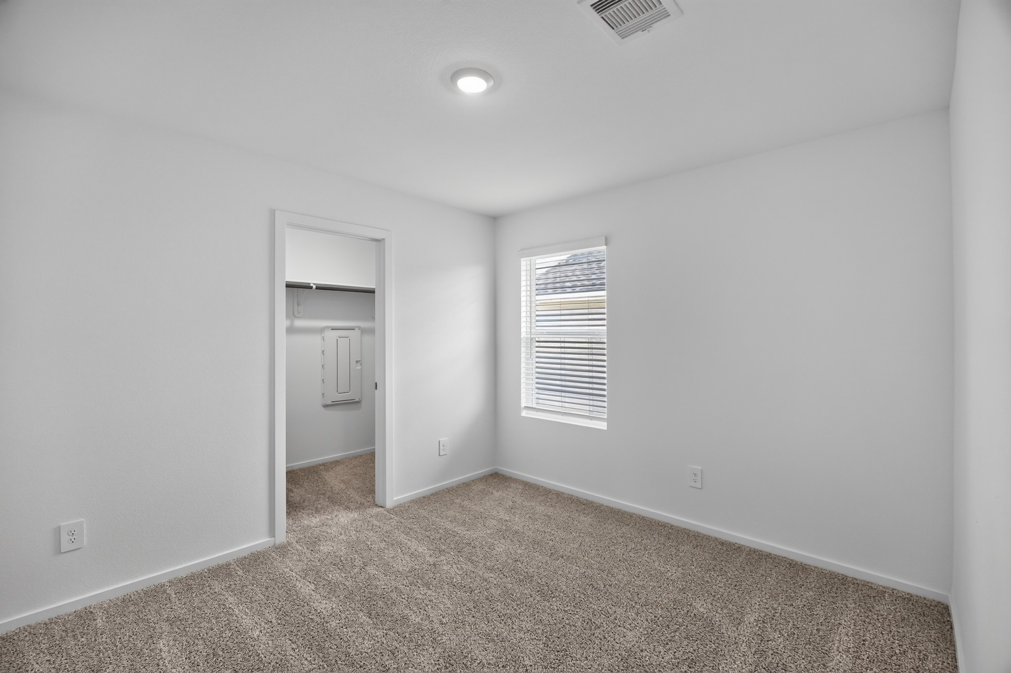 3033 Brizzo Beach Lane Property Photo 24