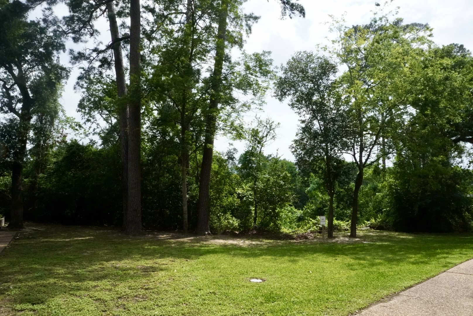 12633 Memorial Drive 250 Property Photo 11