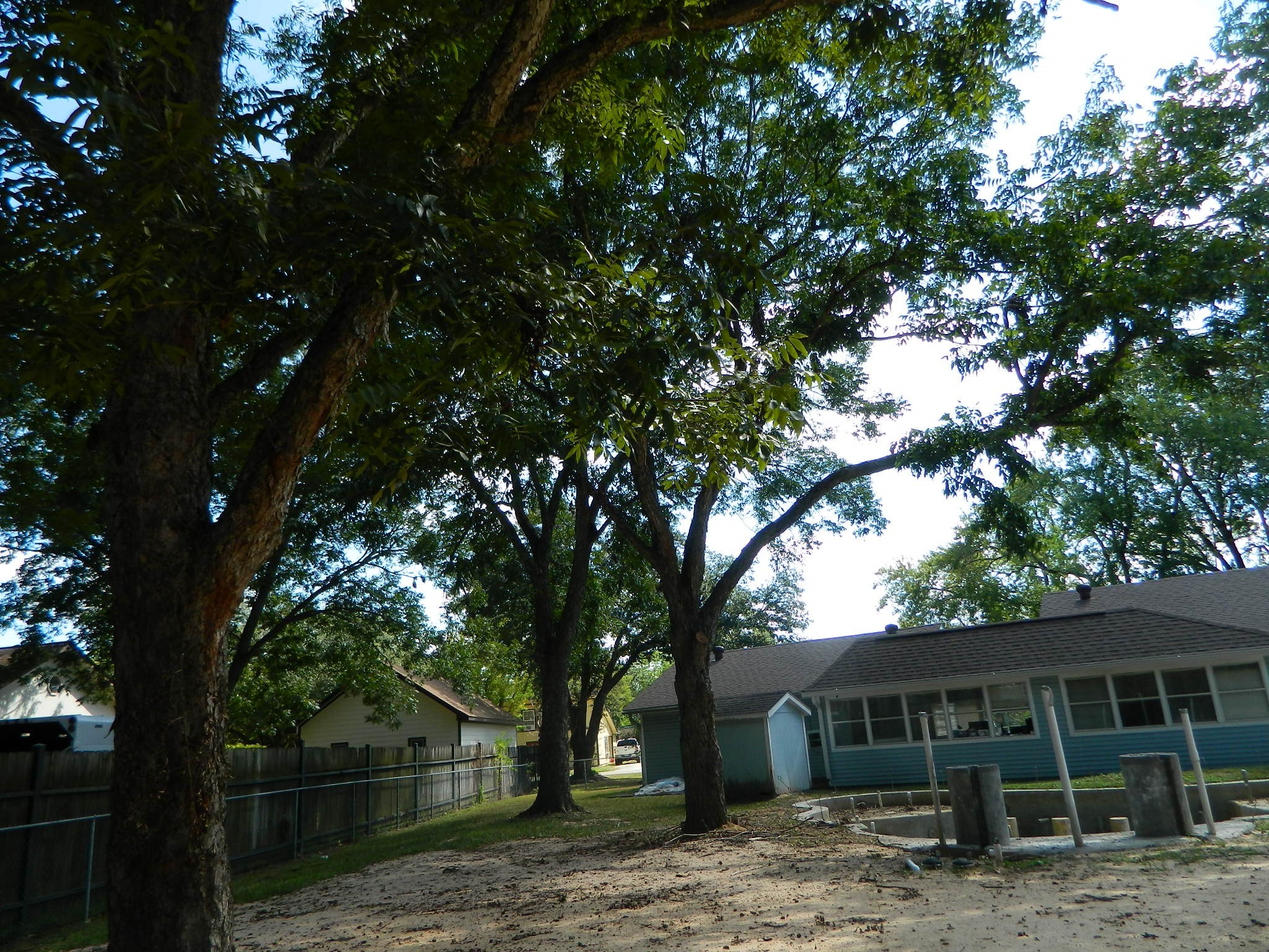 22303 Fields Lane Property Photo 37