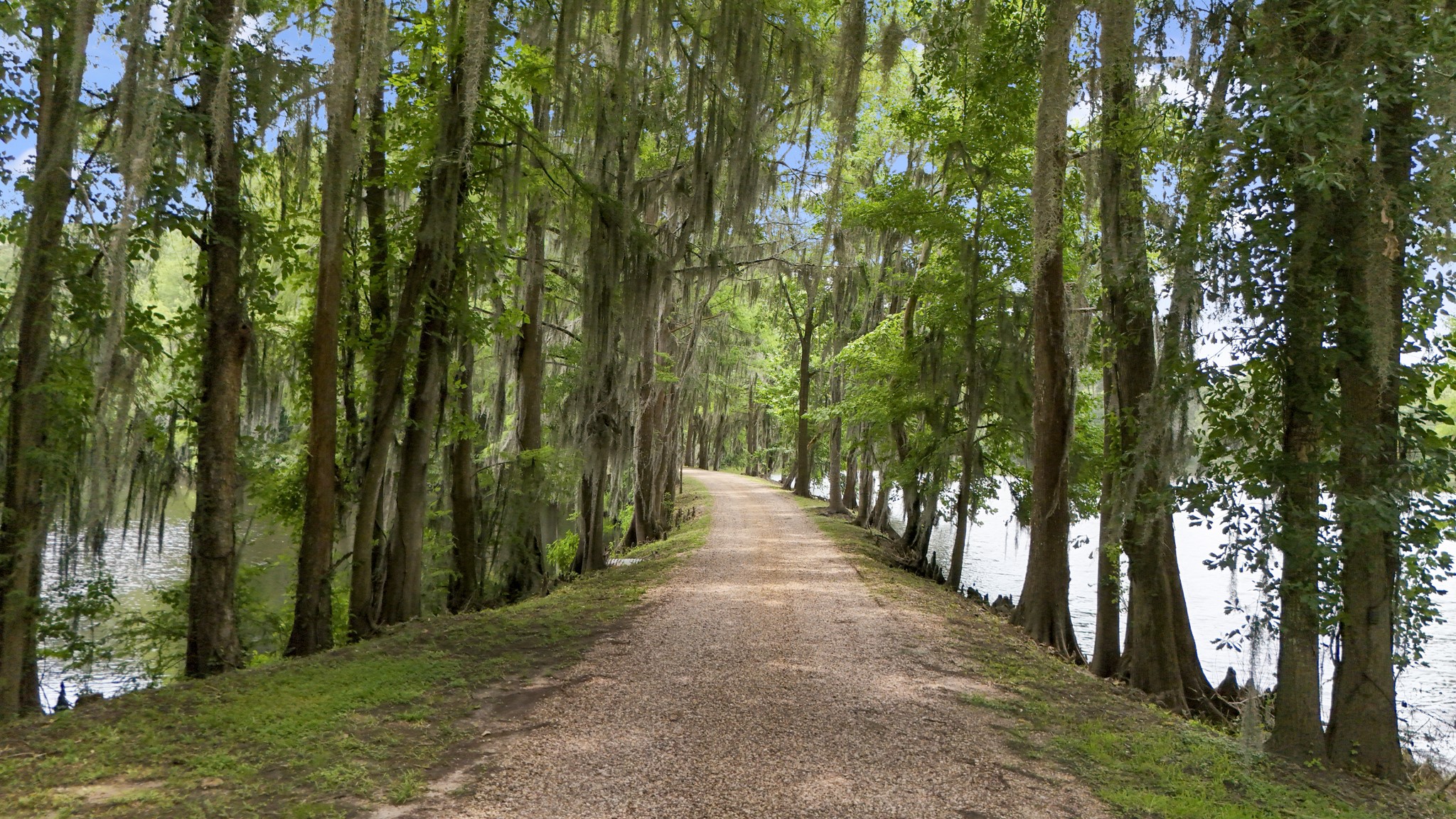 69 Artesian Avenue Property Photo 44