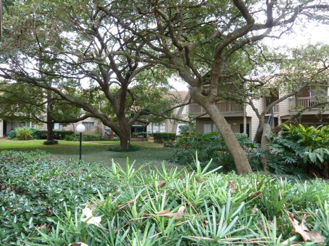 2100 Tanglewilde Street 286 Property Photo 23