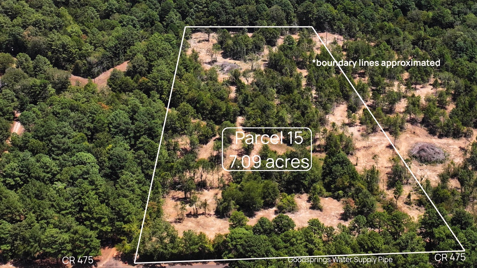 Tbd #15 County Road 475a Property Photo 1