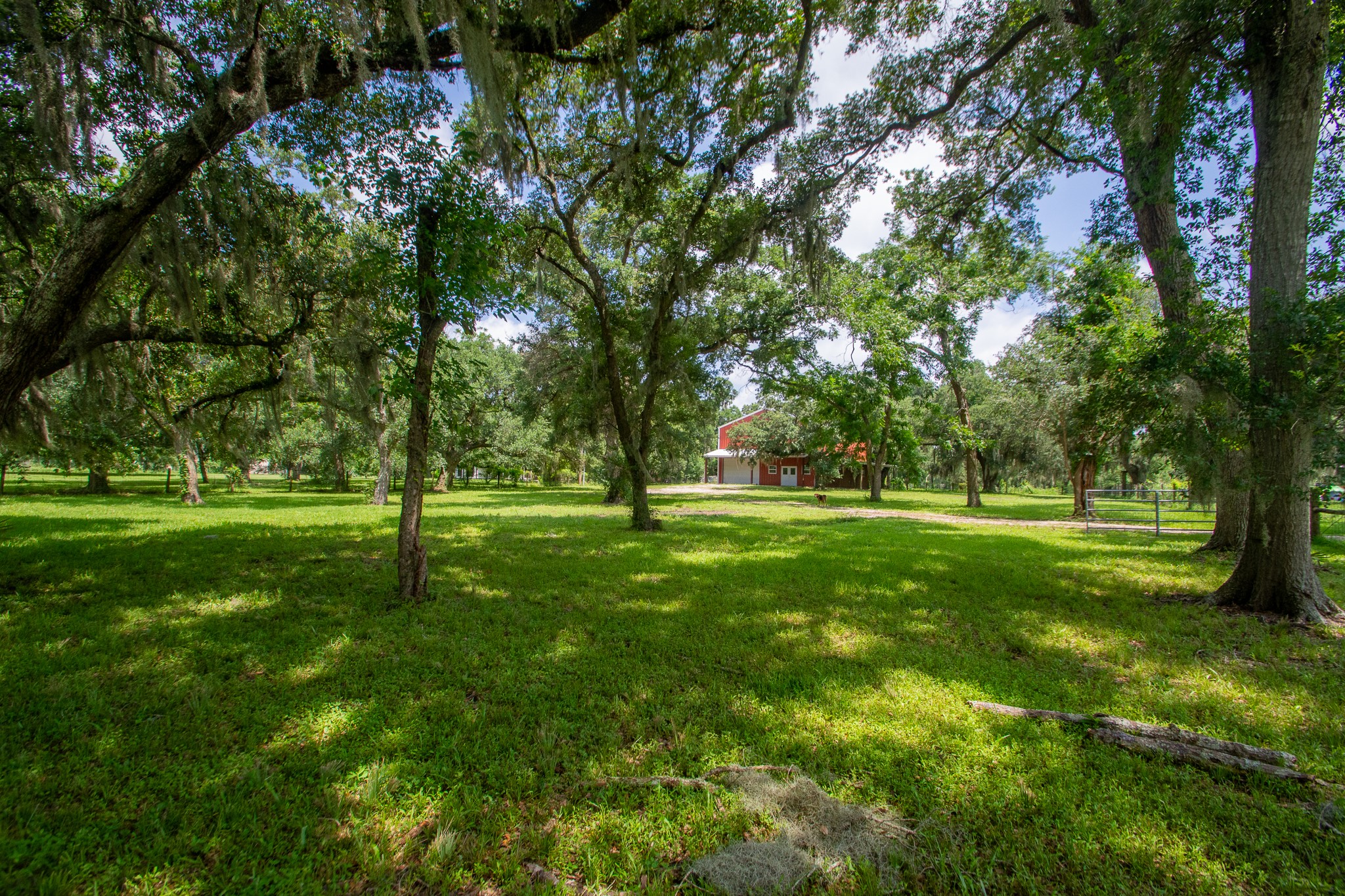 2668 Fm 522 Road Property Photo 10