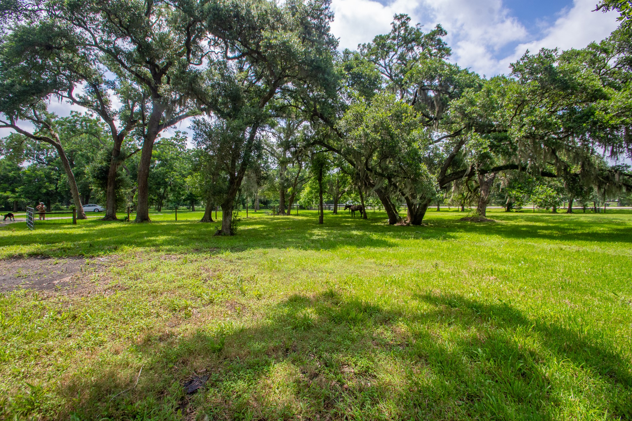 2668 Fm 522 Road Property Photo 11