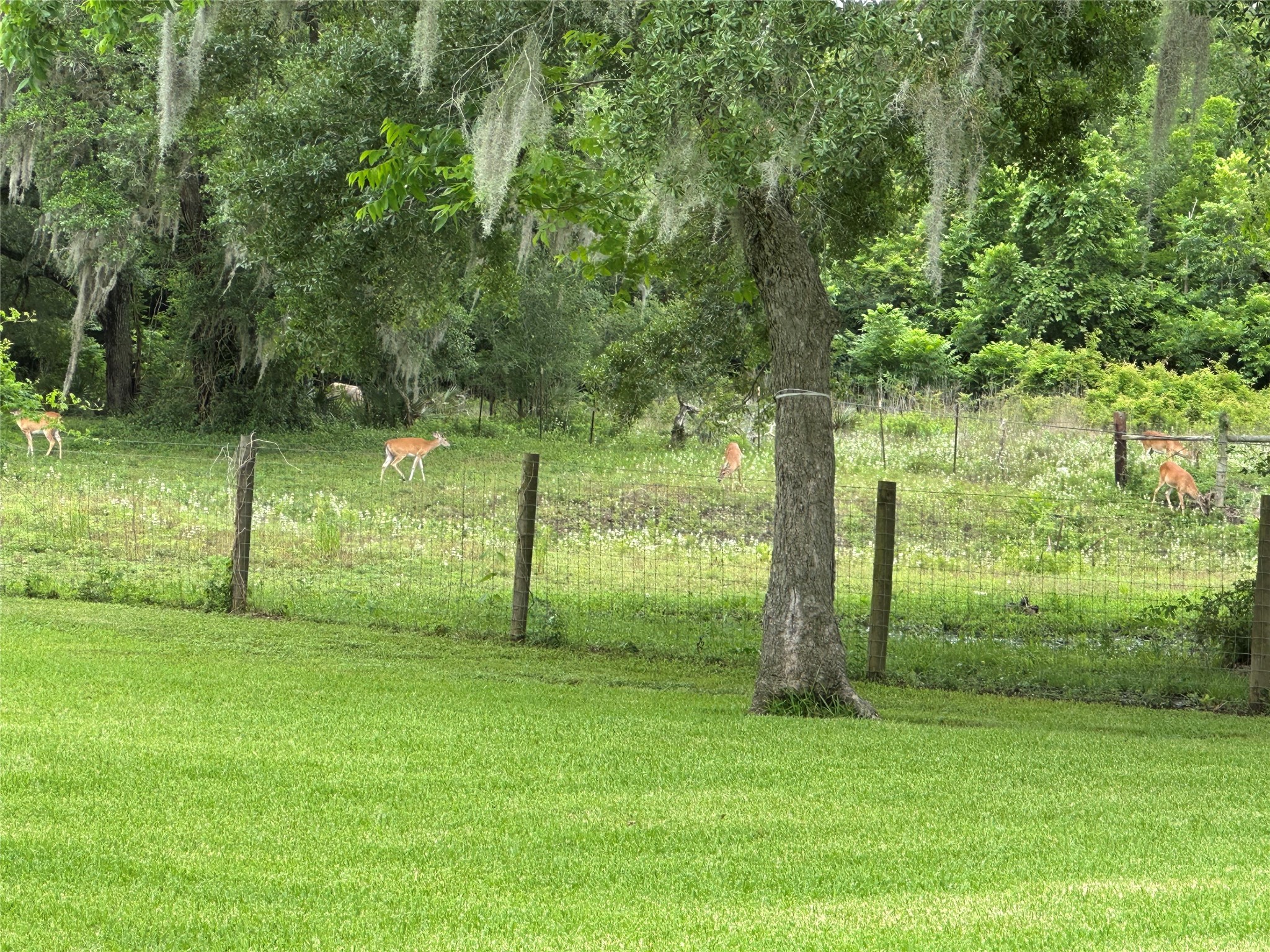 2668 Fm 522 Road Property Photo 12