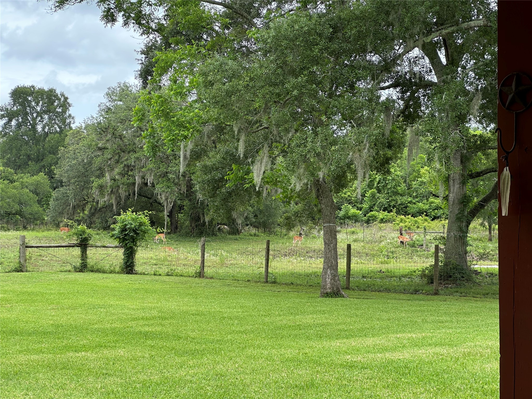 2668 Fm 522 Road Property Photo 13