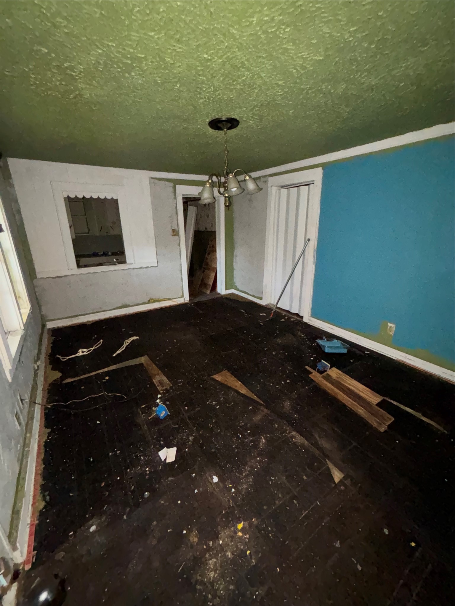 1116 Duncan Street Property Photo 6