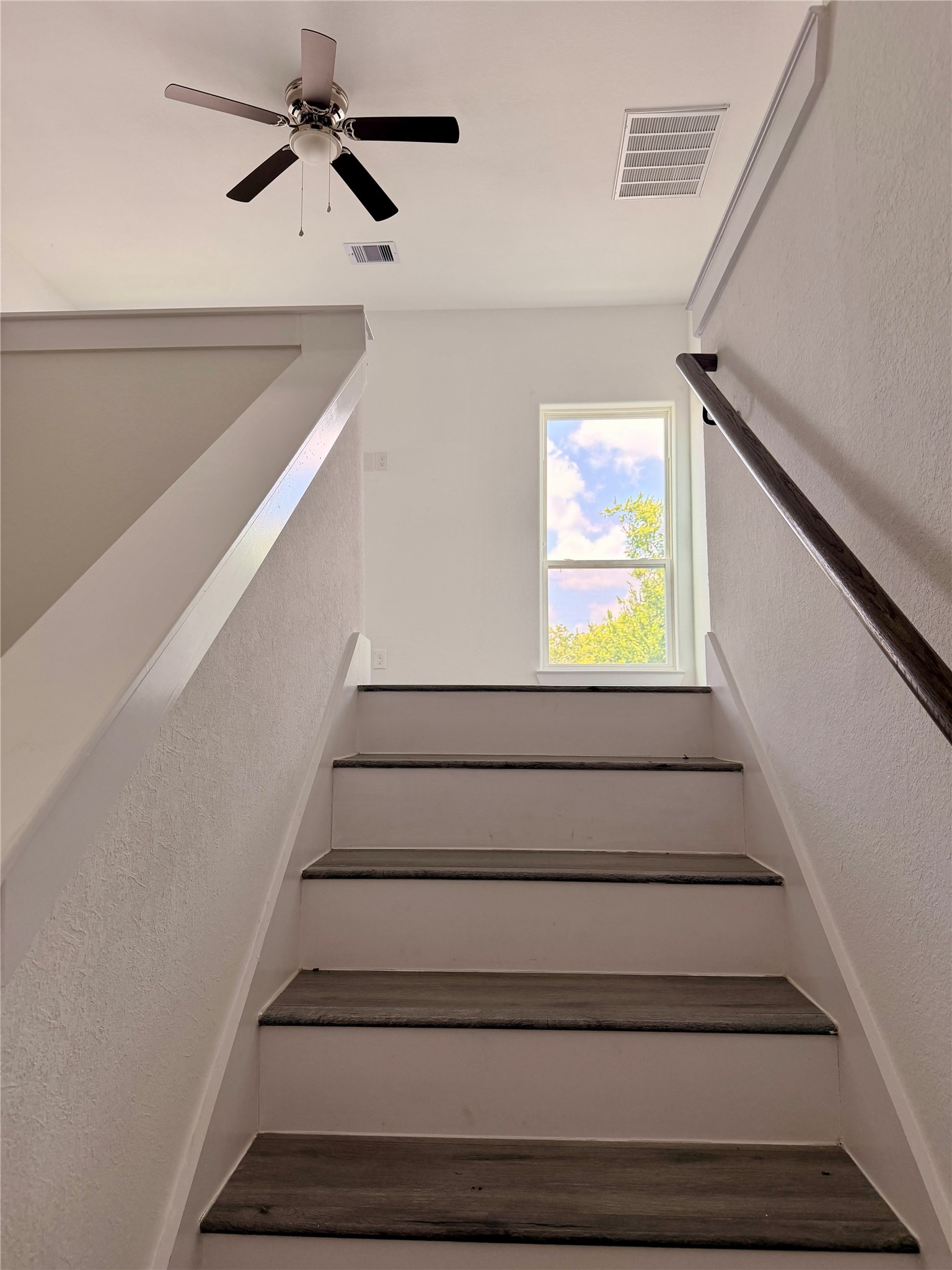 4436 Aledo Street Property Photo 11