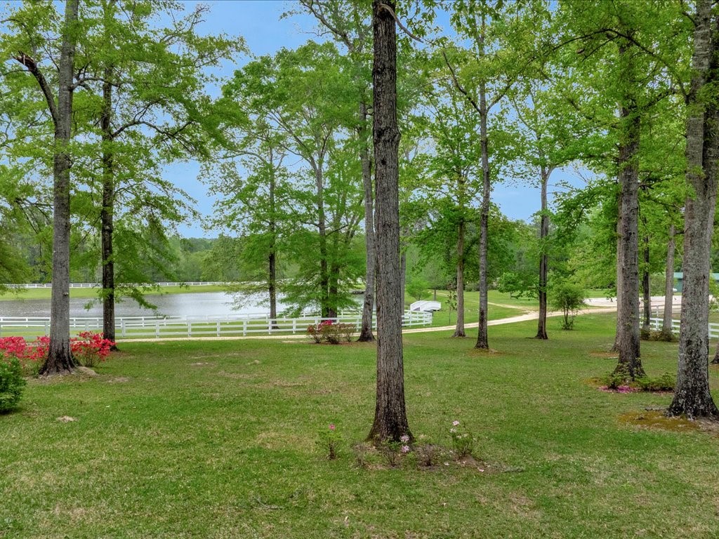 3029 W Us Highway 190 W Property Photo 38