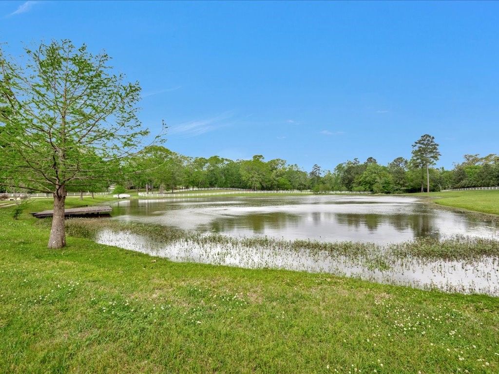 3029 W Us Highway 190 W Property Photo 45
