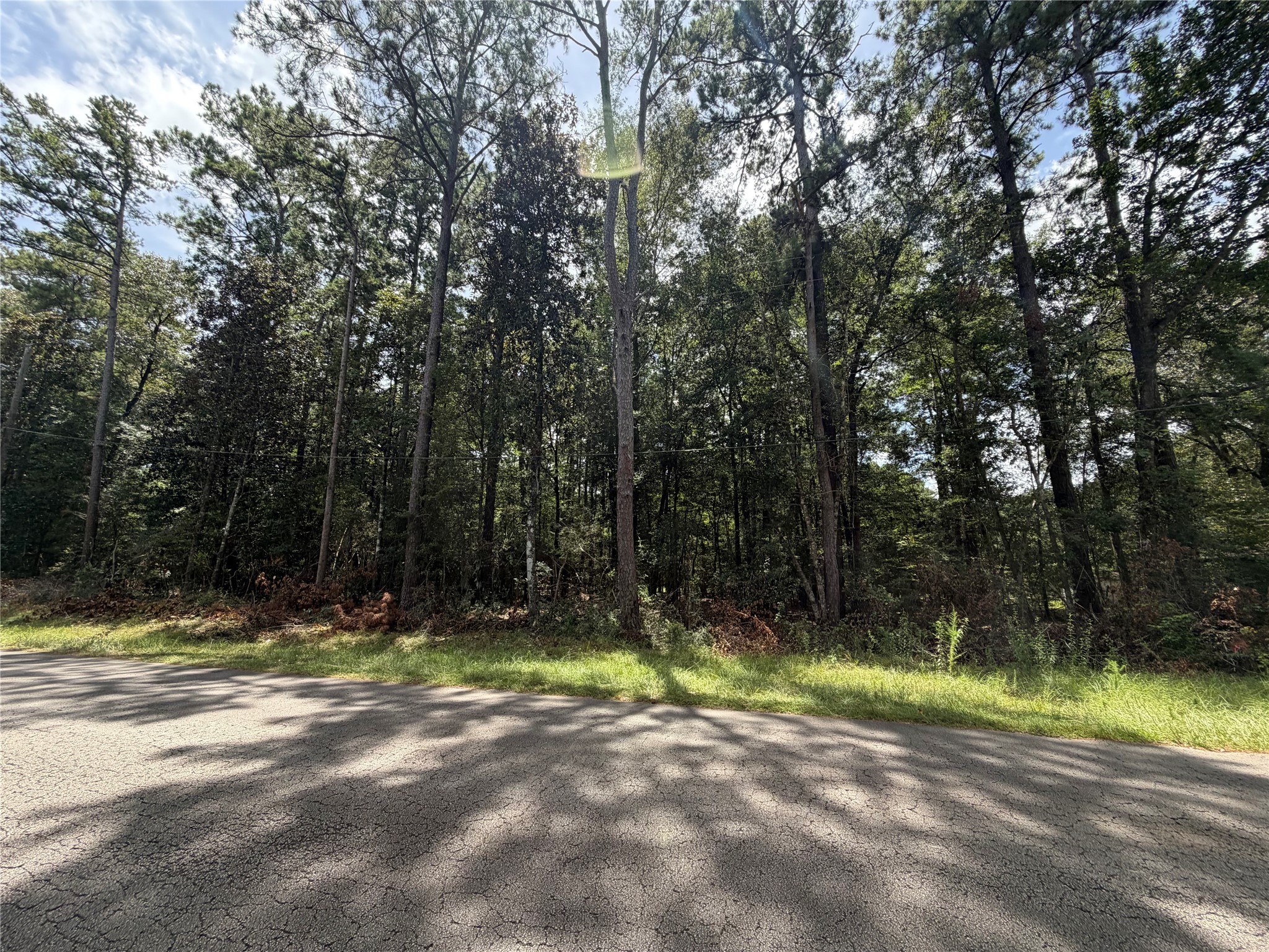 0 W Black Gum Drive Property Photo 1