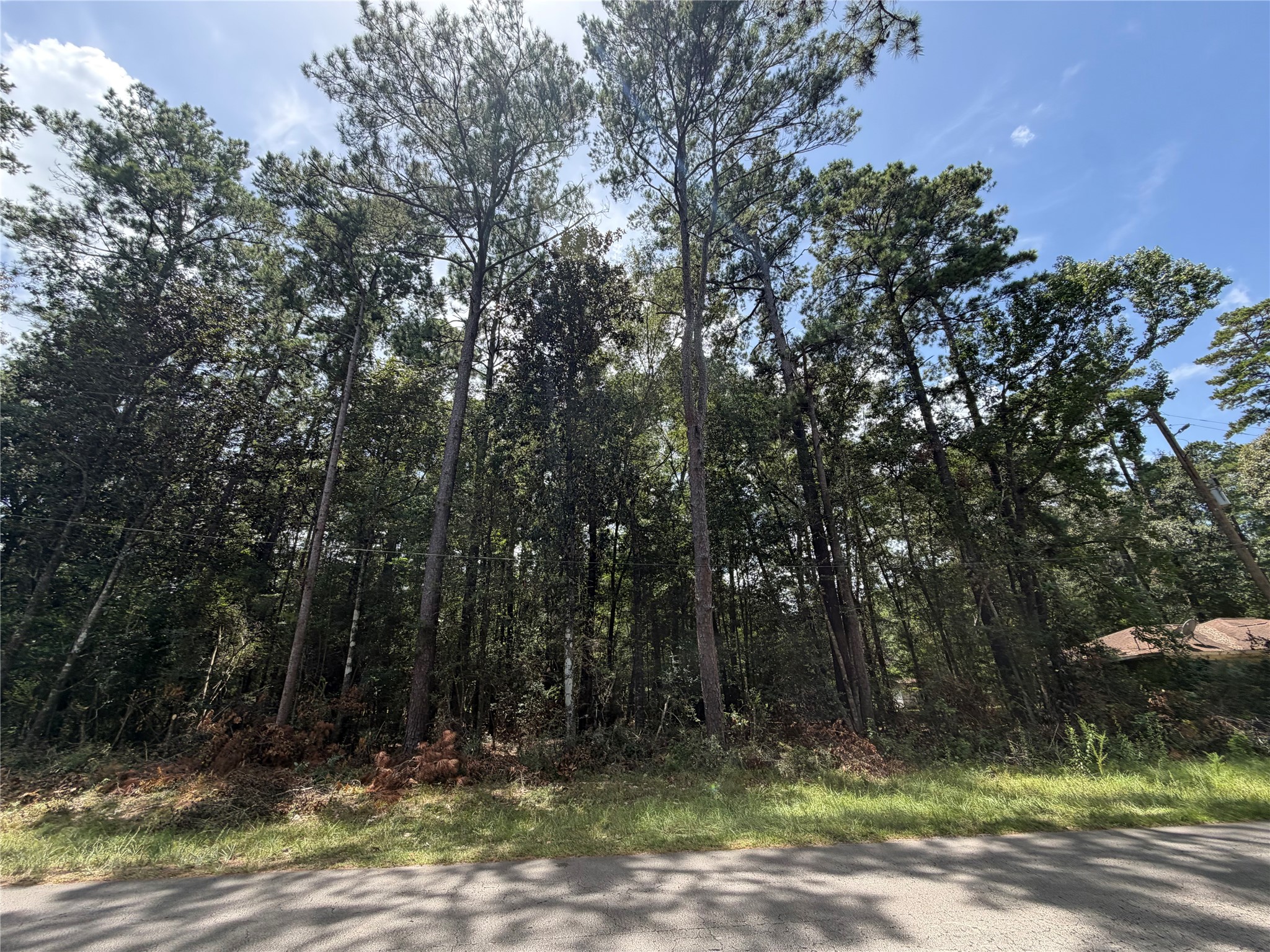 0 W Black Gum Drive Property Photo 3