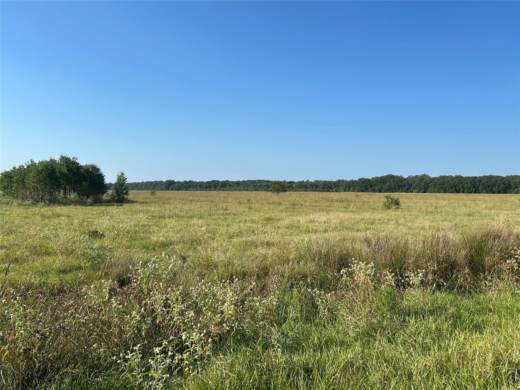 Lot 60 Minnie West Road Property Photo 2
