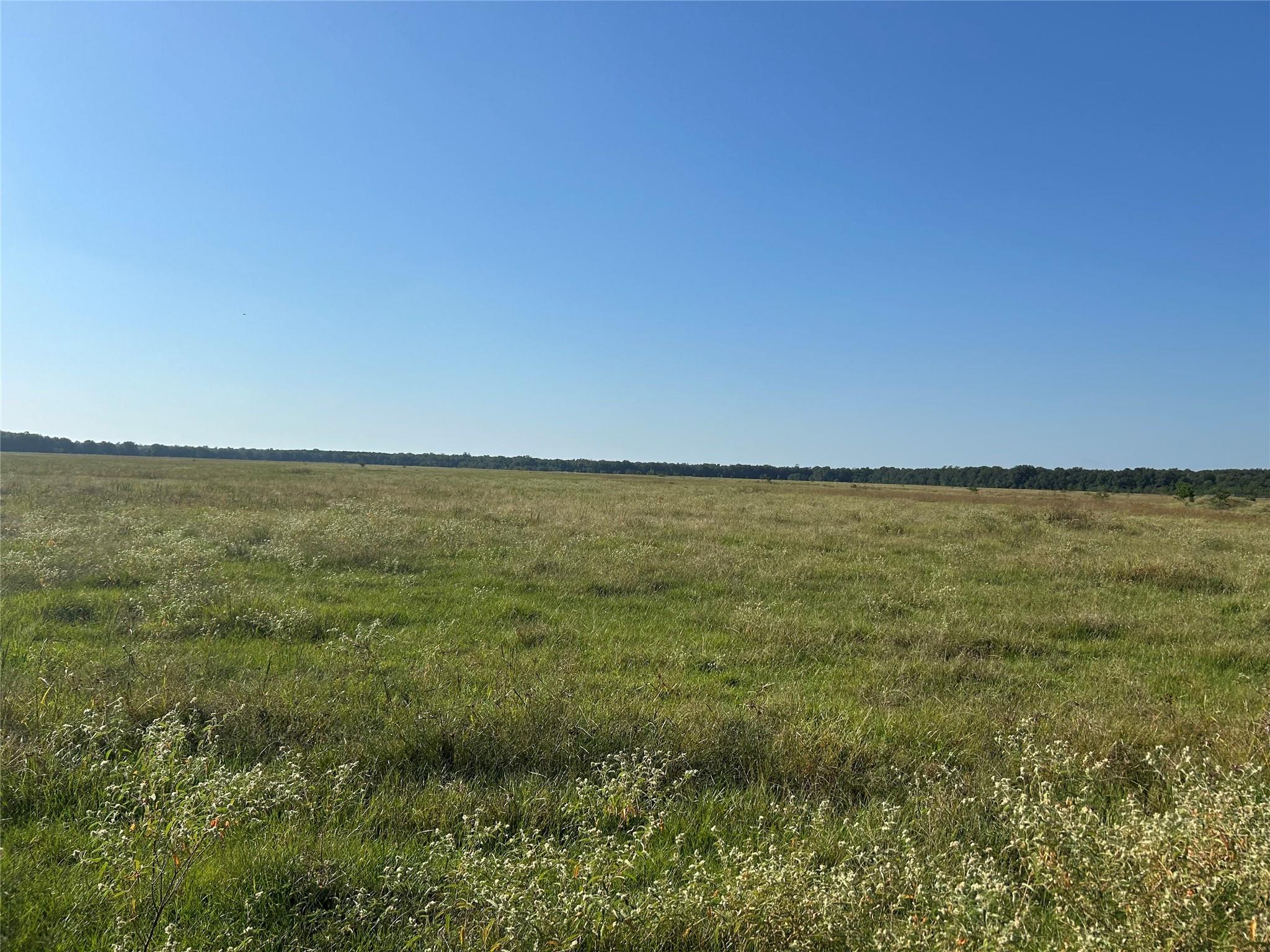 Lot 60 Minnie West Road Property Photo 3