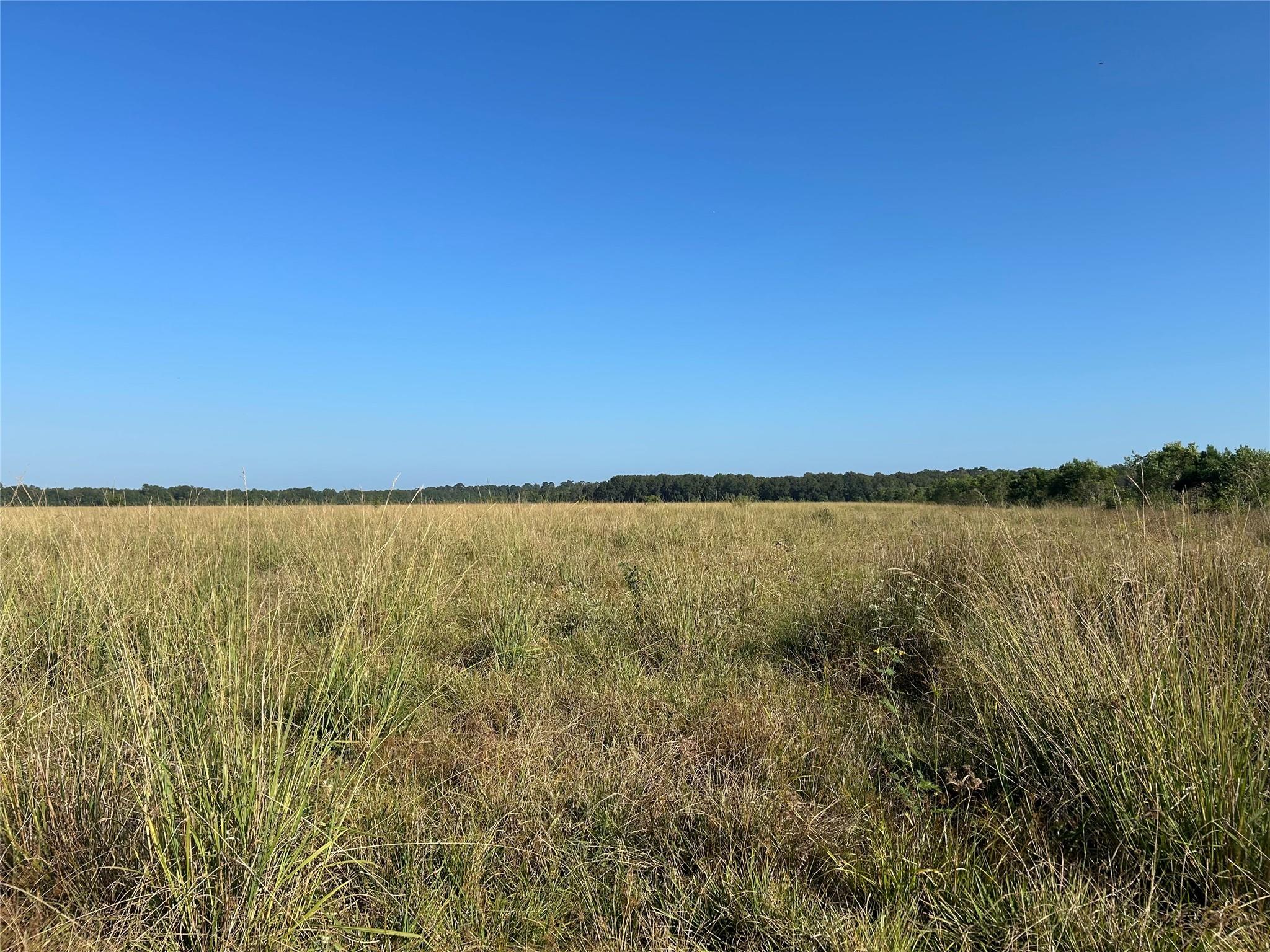 Lot 60 Minnie West Road Property Photo 7