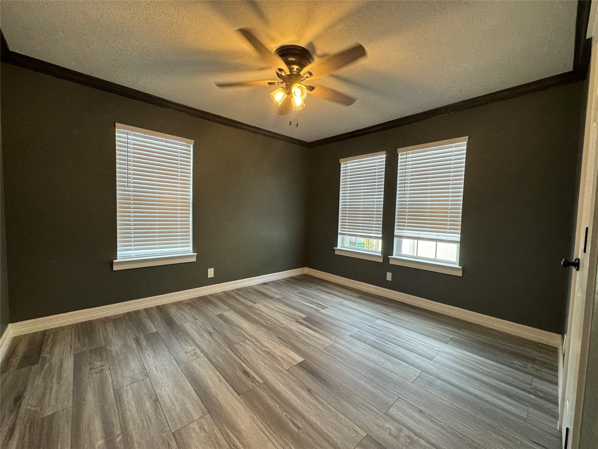 1906 Banks Street Property Photo 5