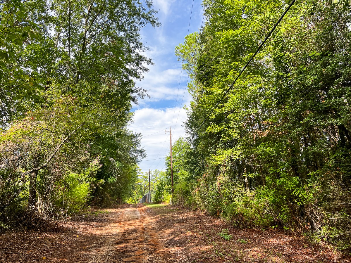 7045 State Highway 75 Property Photo 4