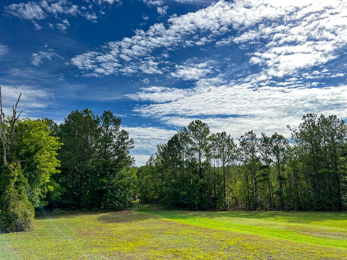 7045 State Highway 75 Property Photo 7