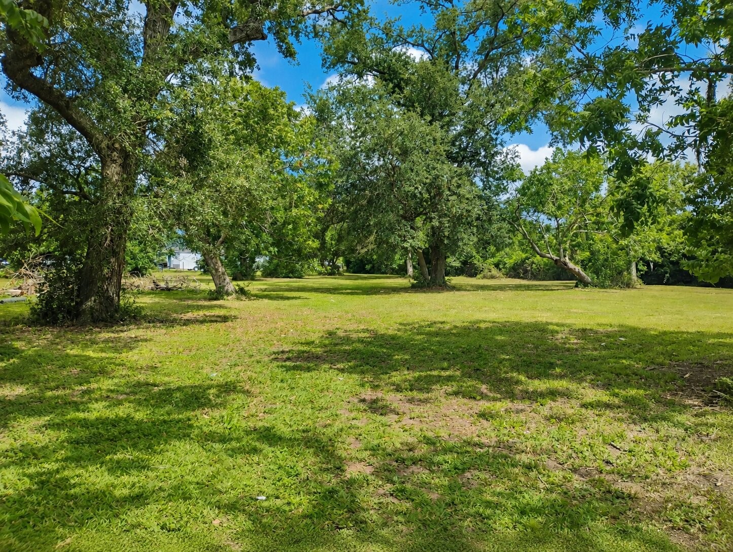455 Hobbs Road C400r Property Photo 20