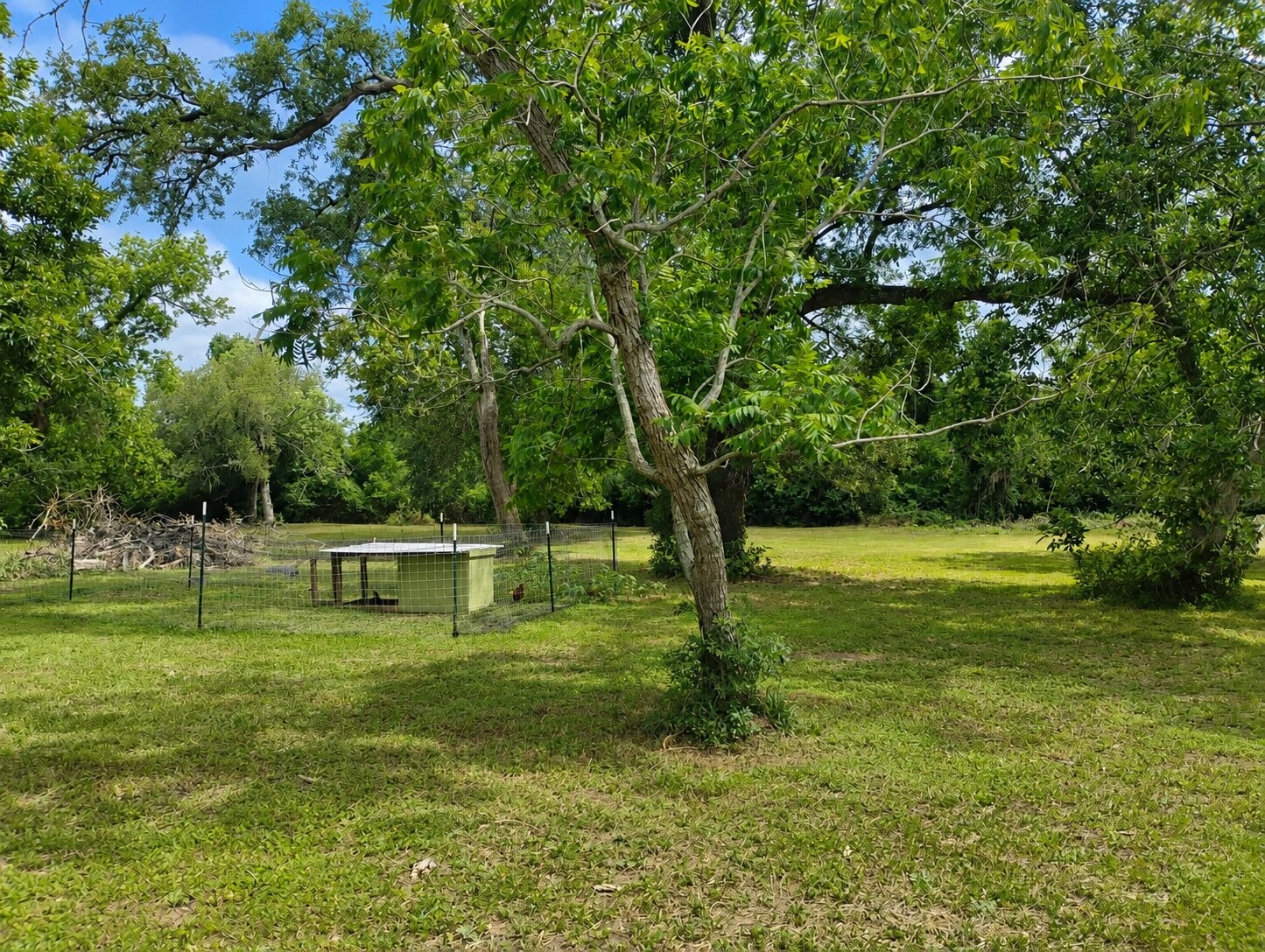 455 Hobbs Road C400r Property Photo 21