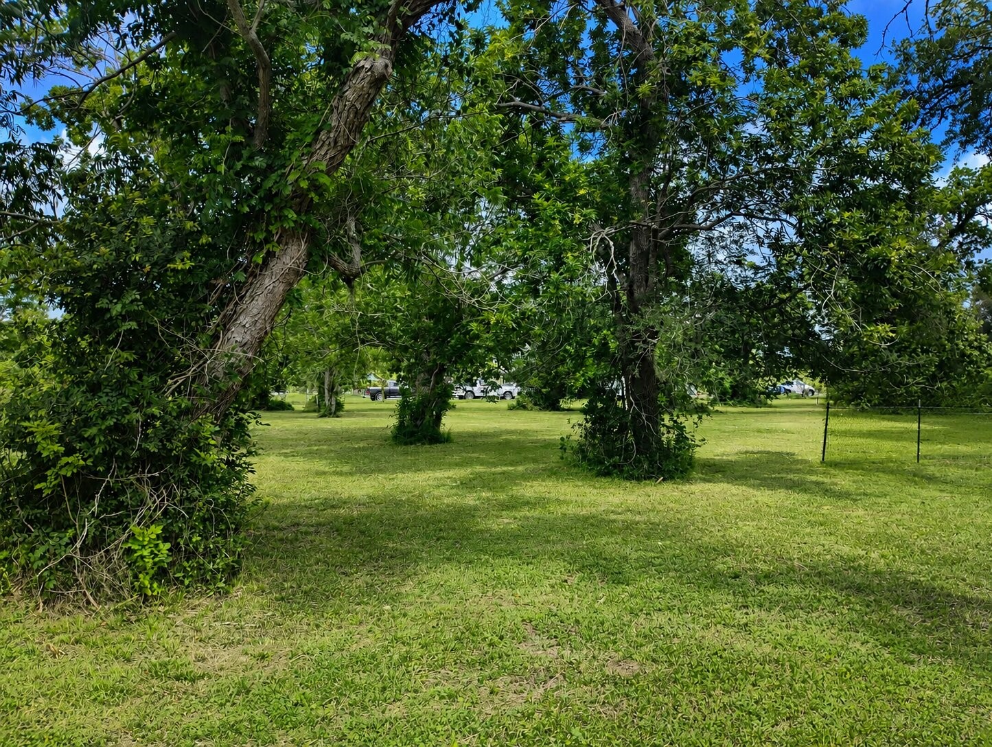 455 Hobbs Road C400r Property Photo 22